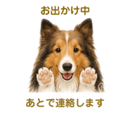 843871900