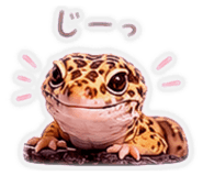 843872297