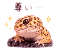 843872298