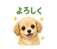 843872358