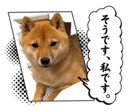 843872849