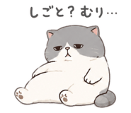 843872906