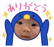 843873119