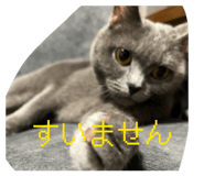 843873192