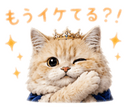 843873201