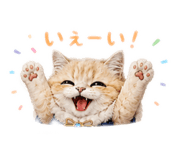 843873206