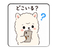 843873262