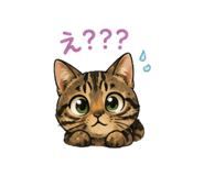 843873369