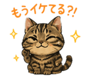 843873373