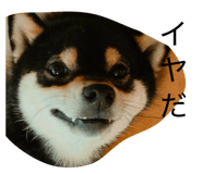 843873612