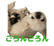 843873656