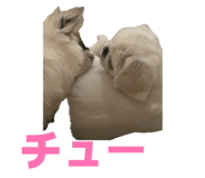 843873658
