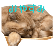 843873674