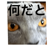 843873679