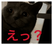 843873680