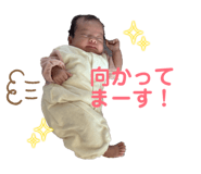 843873786