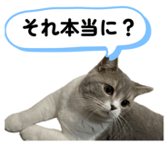 843873878