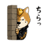843873982