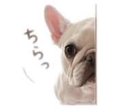 843874019