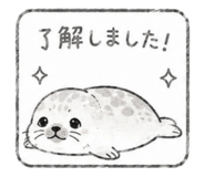 843888533
