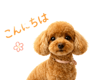 843889506