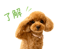 843889509