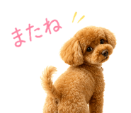 843889511