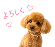 843889516