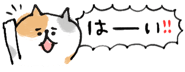 843889812