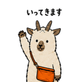 843890072