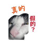 843891157