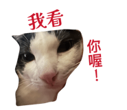 843891159