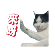 843891160