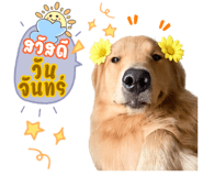 843891169