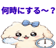 843891253