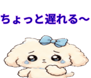 843891258