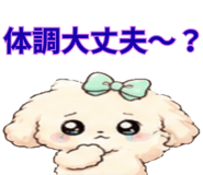 843891262