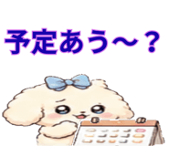 843891269
