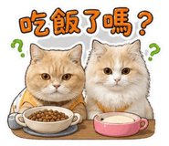 843891516