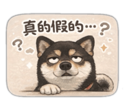 843892364
