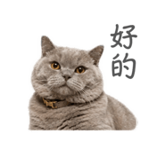 843892748