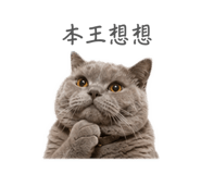 843892756