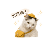 843893535