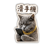 843893764