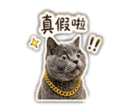 843893767