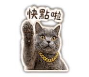 843893771