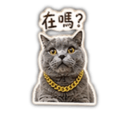 843893772