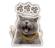 843893775
