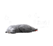 843894005