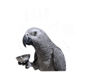 843894006